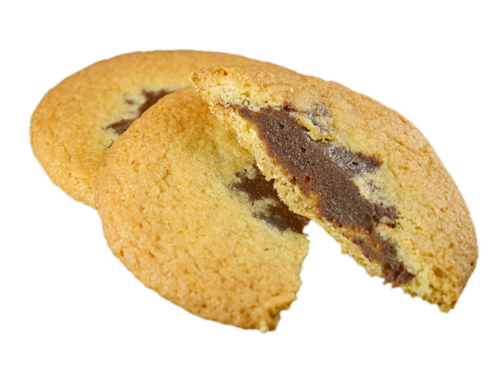 豊臣サブレ　チョコ